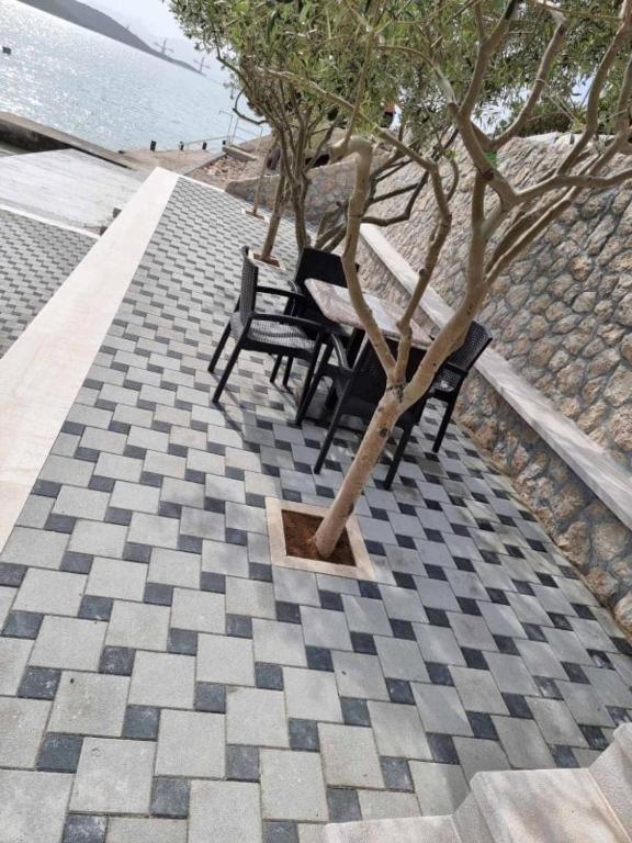 Apartments Domane Nenad ネウム エクステリア 写真